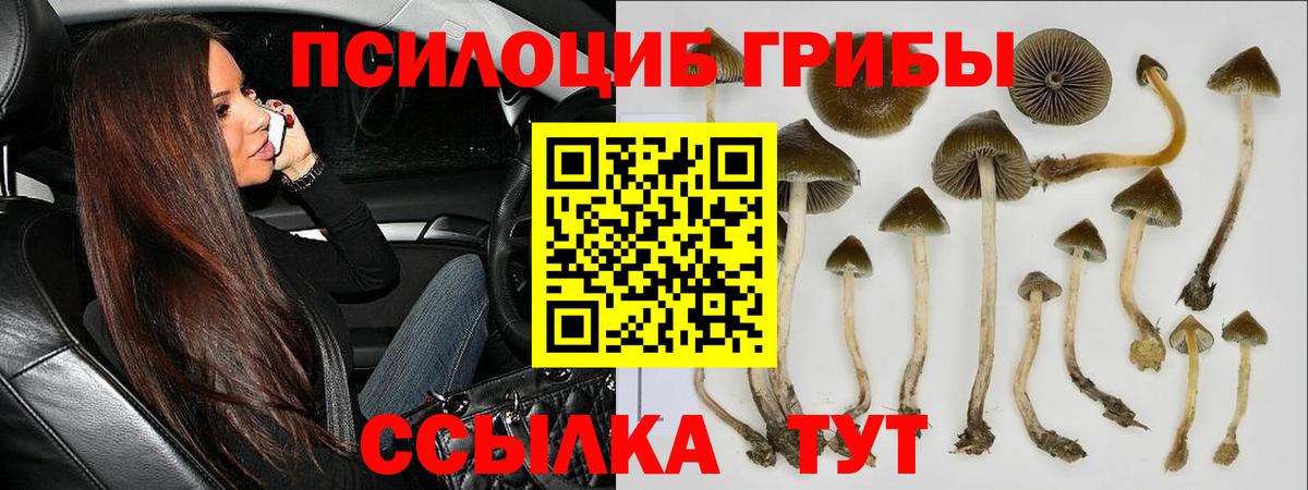 Псилоцибиновые грибы мицелий  Вход с VPN  купить  сайты  Курск  Псилоцибиновые грибы мухоморы 