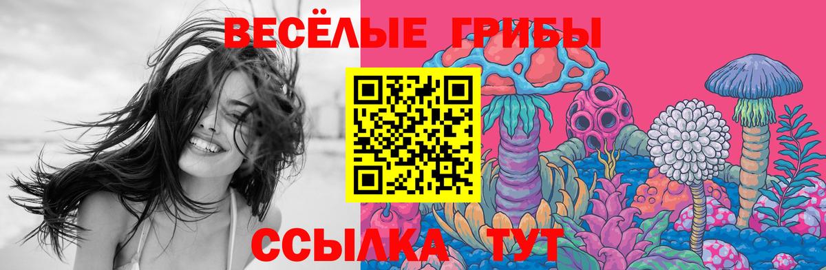 Галлюциногенные грибы GOLDEN TEACHER Курск